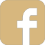 icon facebook